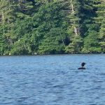 Squam Lakes Camp Resort