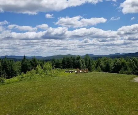 Ellea Pine Camps