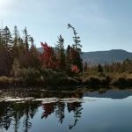 Diamond Dock Camp