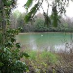 Woodland Park Campground