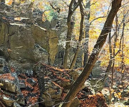 Raven Rock Hiker Shelter
