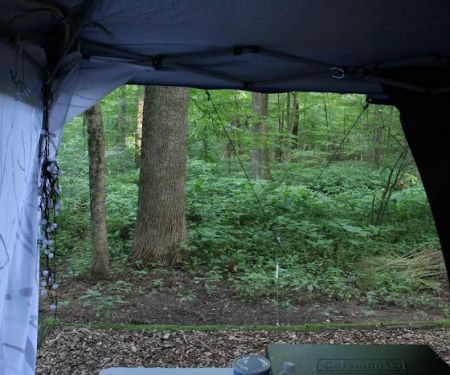 Owens Creek Campground