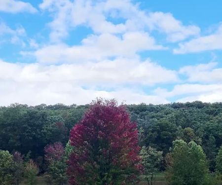 Cedar Campground