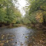 Bull Run Campground