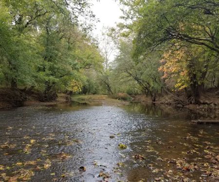 Bull Run Campground