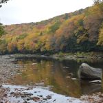 Clarion River Campground