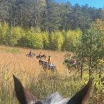 Sharon's Horse Heaven, Equestrian Cabin & Camping