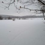 Lily Pad Lodge