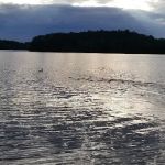 Lakeside Camping