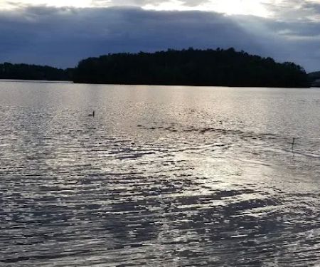 Lakeside Camping