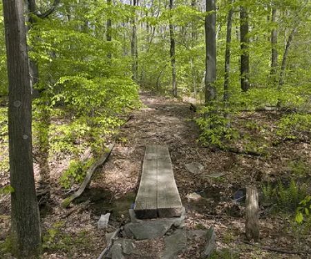 Decker Shelters