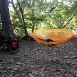 Big Woods Campsite