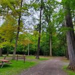 Camp Chautauqua