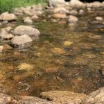Fransted Family Campground & RV Park