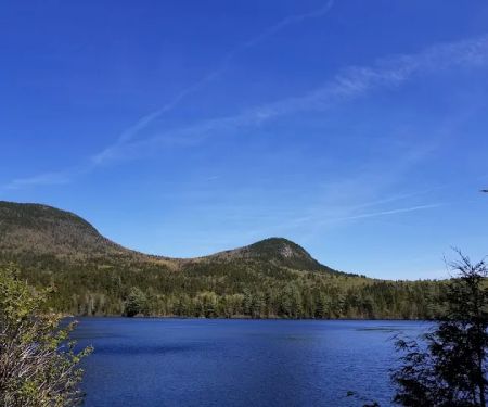 Sawyer Pond Shelter & Tentsite