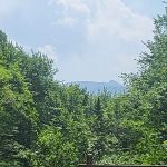 Wilderness Cabins