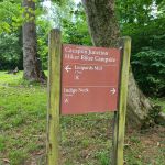 Cacapon Junction Campsite