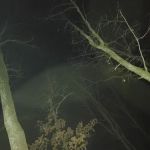 Campsite # 5