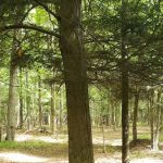 Oxbo Campground