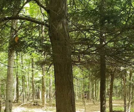 Oxbo Campground