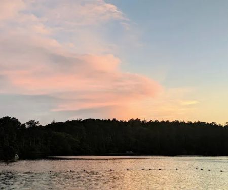 Nickerson State Park - Area 3