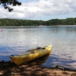 Nickerson State Park - Area 1
