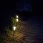 Camping Area 7