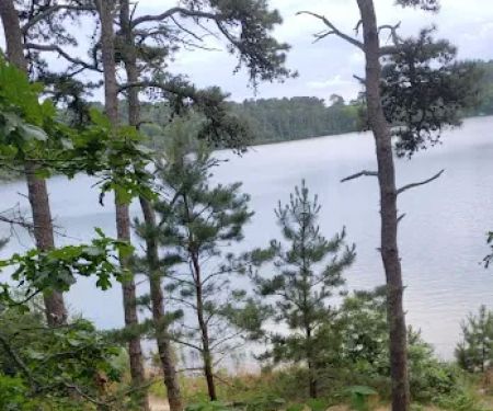 Nickerson State Park - Area 5