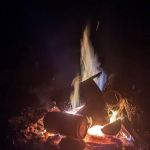 Campsite 77