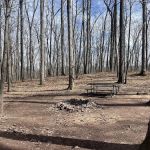 Campsite 72