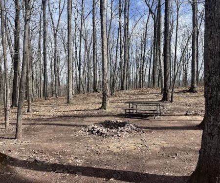 Campsite 72