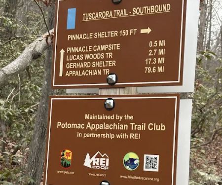 Pinnacles Shelter