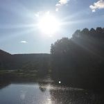 Lou's Camp