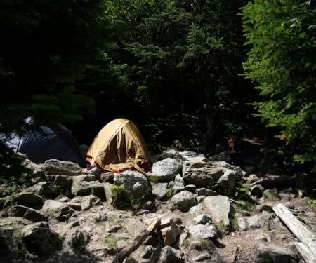 Valley Way Tentsite