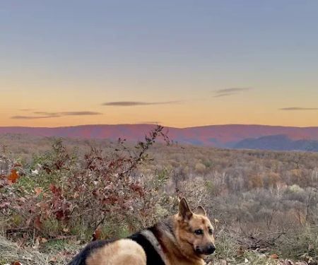 Green Ridge Site 65