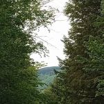 Hastings Campground