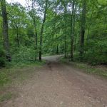 Campsite 53