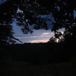 Campsite 51