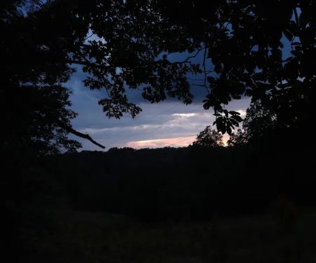 Campsite 51