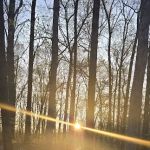 Campsite 39