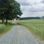 Peaceful Meadows Farm and Camping