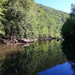 Todd and Angie's River Lot