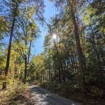 Raccoon Canyon