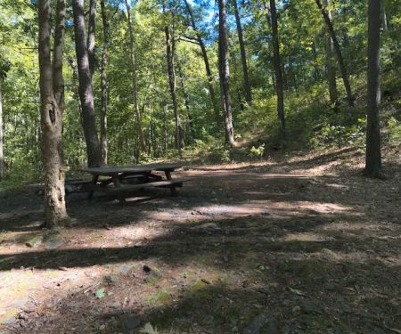 Camp Run Campground