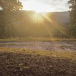Rocky Hollow Paradise LLC