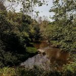 Harmony Ridge on the River