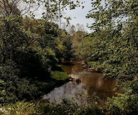 Harmony Ridge on the River