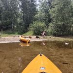 Trout Brook Campsites