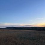 Camp McFender