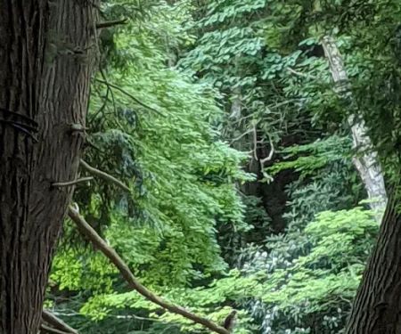 Horseshoe Recreation and Campground Area